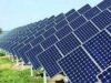 मालवा और निमाड़ क्षेत्र में सूरज से बिजली बनाने वालों की संख्या 9200 के पार